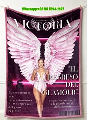 victorias secret 2024 comeback pink wing flannel sofa throw blanket V194